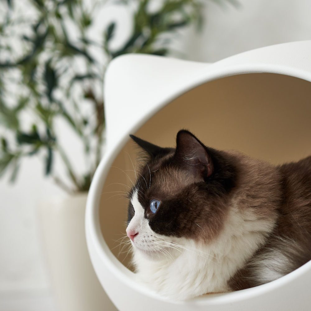 キャットハウス ねころん – OFT STORE