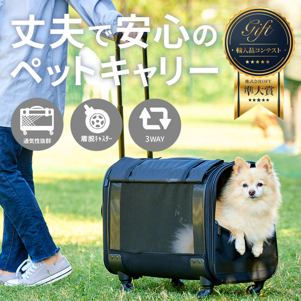 【今月のピックアップセール】キャリーバッグ NEW L