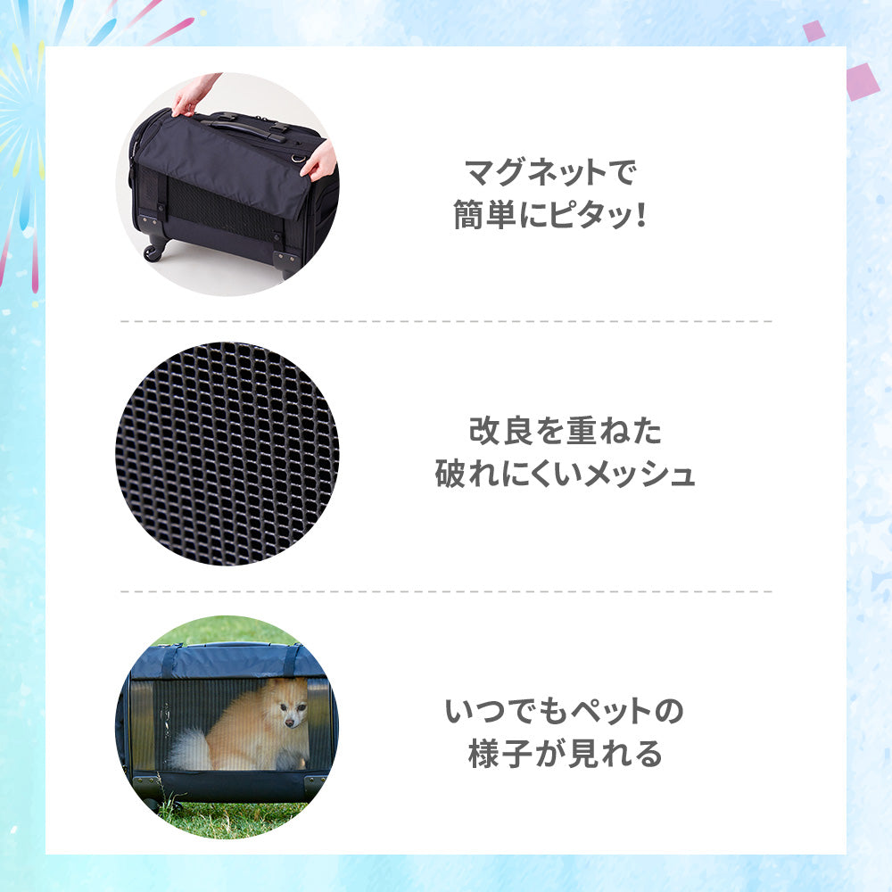 【今月のピックアップセール】キャリーバッグ NEW L