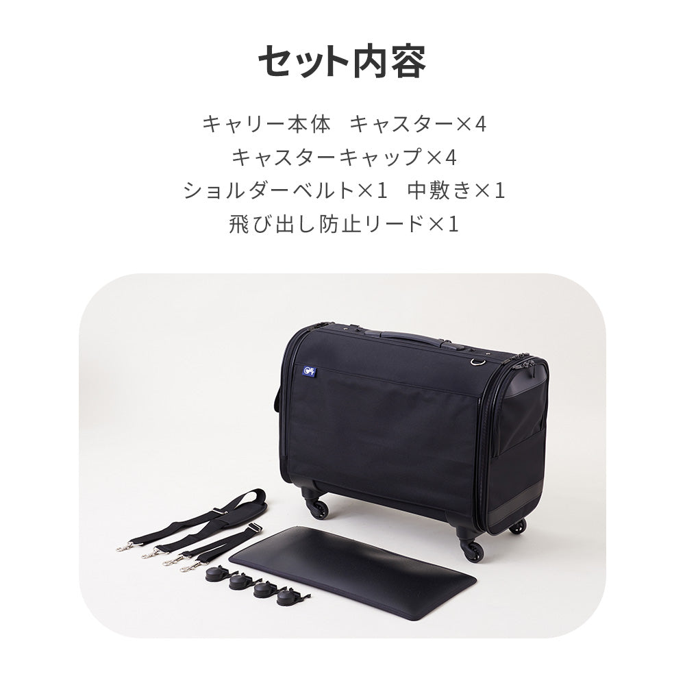 【今月のピックアップセール】キャリーバッグ NEW L