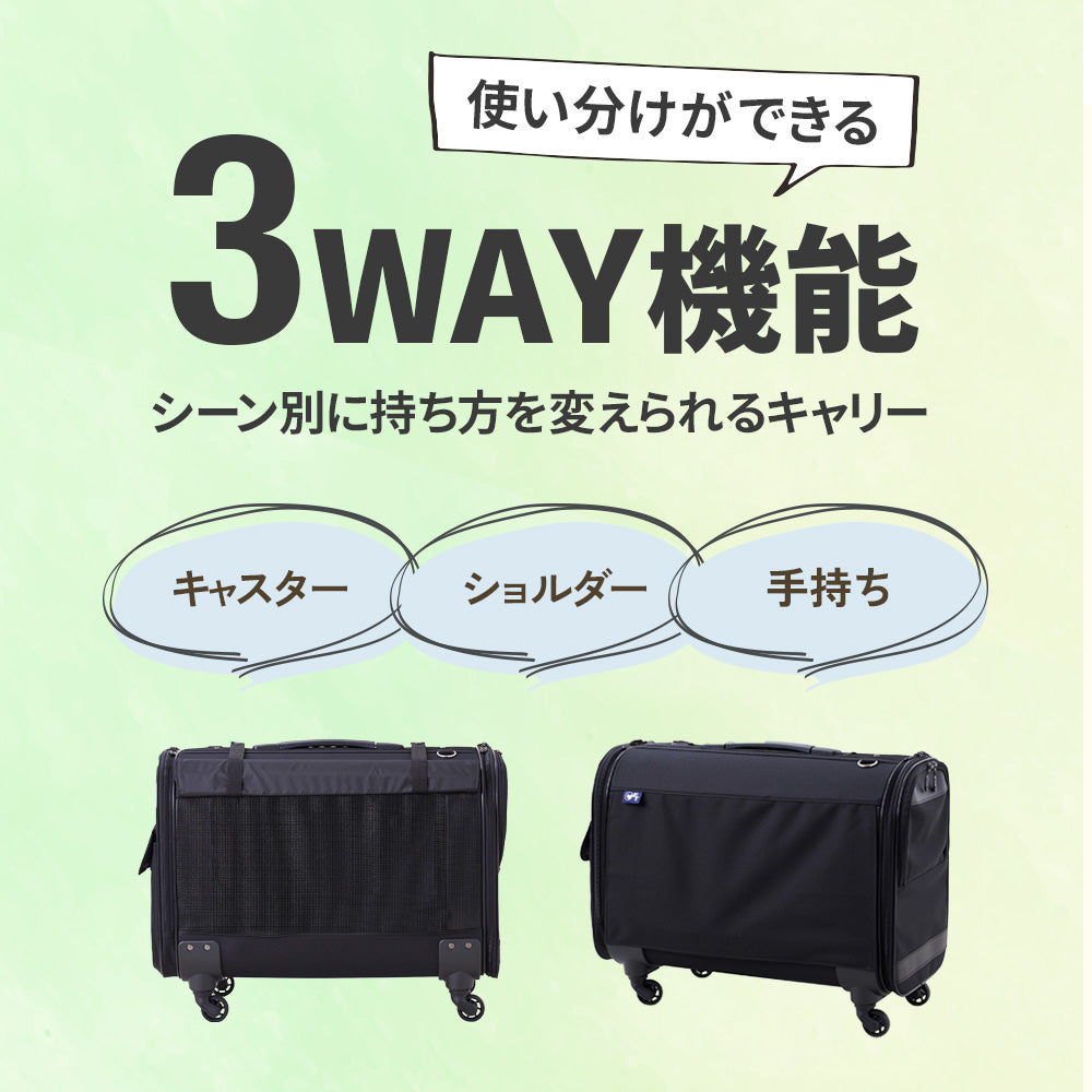 【今月のピックアップセール】キャリーバッグ NEW L