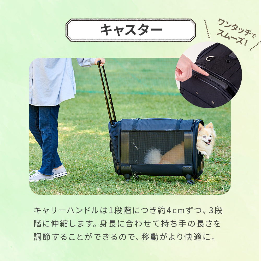 【今月のピックアップセール】キャリーバッグ NEW L