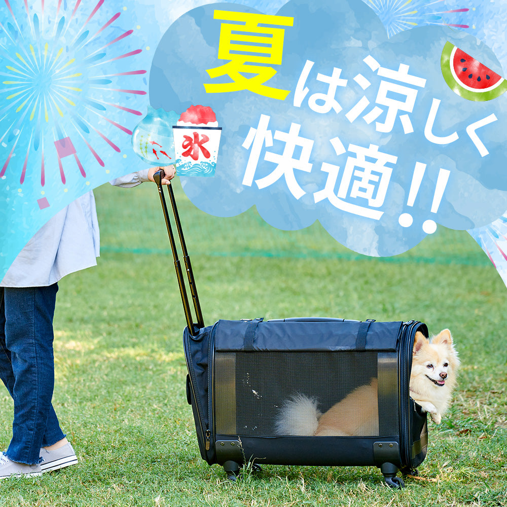 【今月のピックアップセール】キャリーバッグ NEW L
