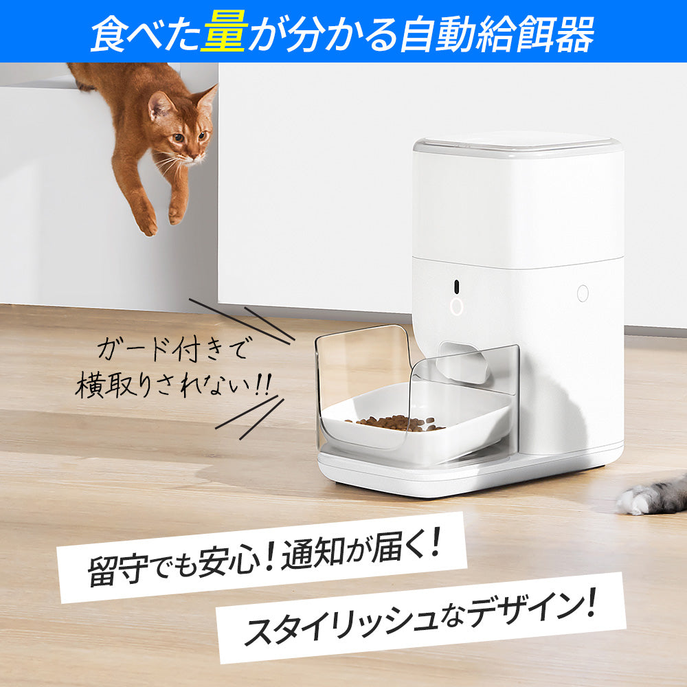 自動給餌器 CATLINK FRESH2 スマホでつながる自動給餌器！個体識別OK。多頭飼いのご家庭にオススメ – OFT STORE