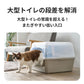 HY NEST（ハイネスト）