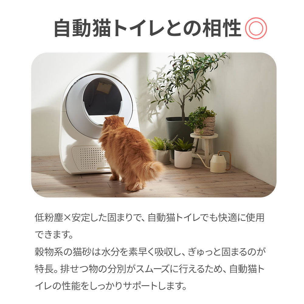 キャッサバブレンドサンド(4kg)(定期便なら10%OFF) 送料無料対象商品