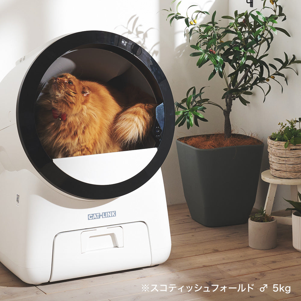 【予約販売10％OFF 6月中～下旬頃入荷!!】自動猫トイレ SCOOP ROBOT PRO