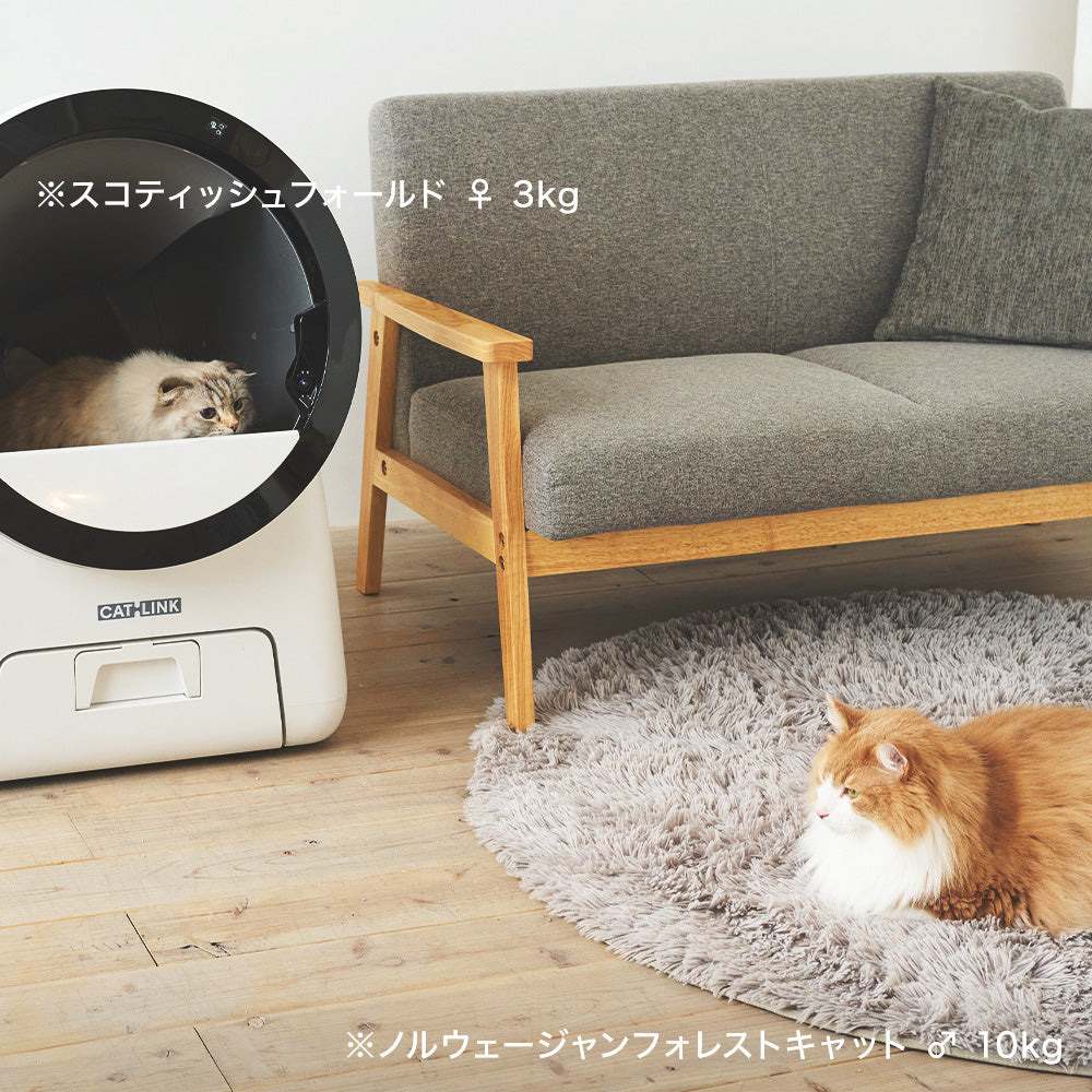 【予約販売10％OFF 6月中～下旬頃入荷!!】自動猫トイレ SCOOP ROBOT PRO