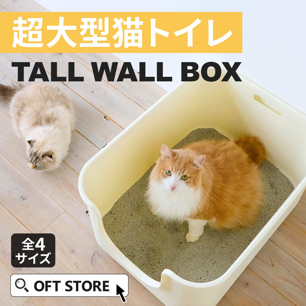 【今月のピックアップセール】TALL WALL BOX