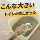 【今月のピックアップセール】TALL WALL BOX