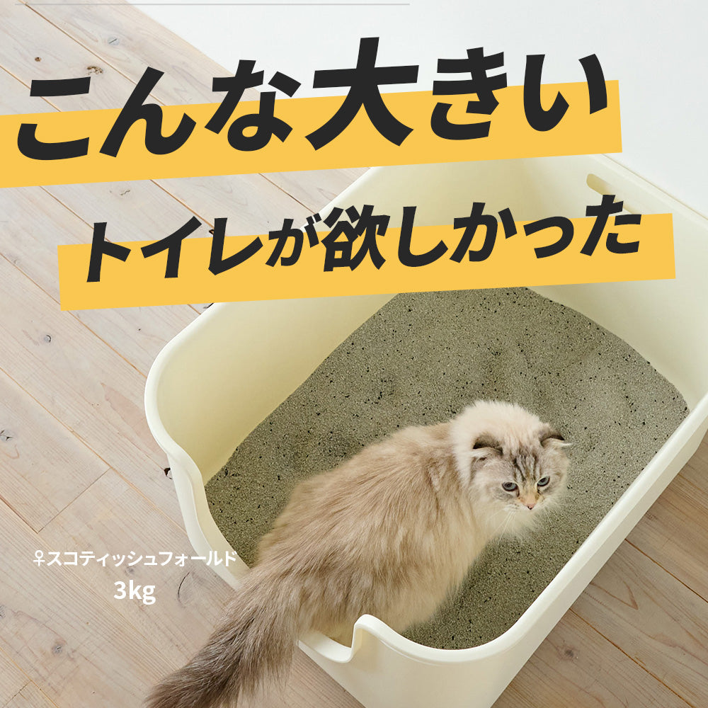 【今月のピックアップセール】TALL WALL BOX