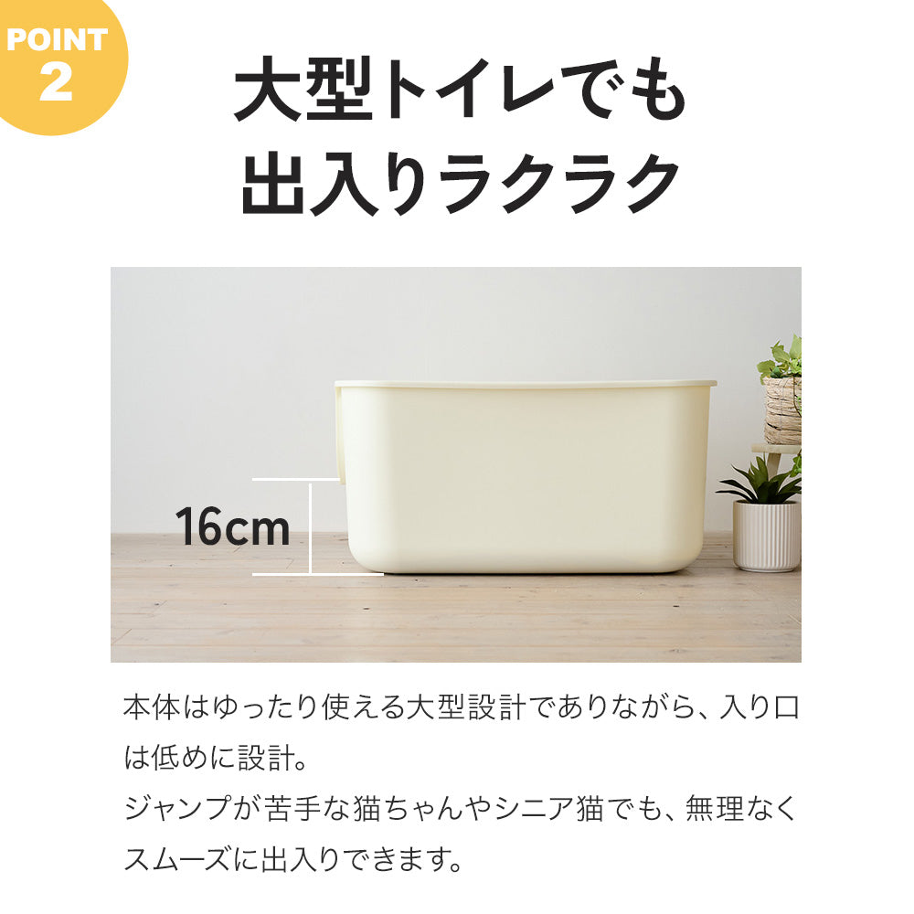 【今月のピックアップセール】TALL WALL BOX