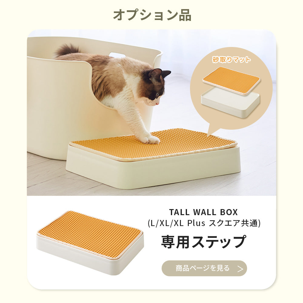 【今月のピックアップセール】TALL WALL BOX