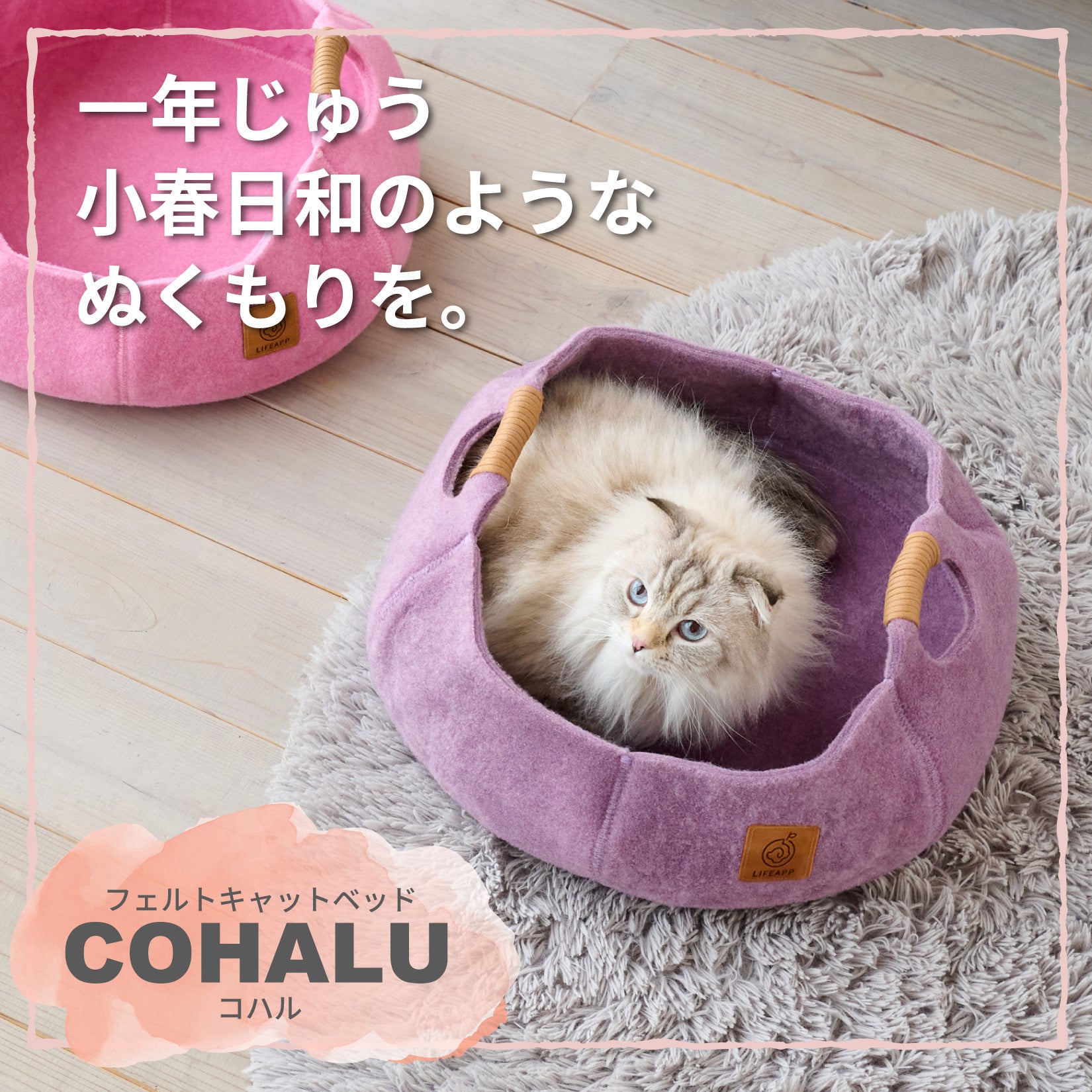 ペット用品の通販 OFT STORE（オーエフティーストア）公式サイト