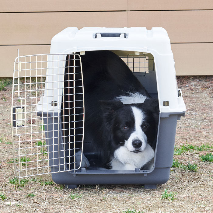 航空基準クリア 中型犬の旅行や病院へのペットキャリー ペットケンネル・ファーストクラス（L80）キャスター付 – OFT STORE