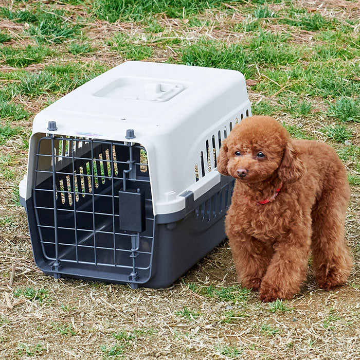 ⭐︎ケージ⭐︎犬⭐︎うさぎ⭐︎ - 犬用品