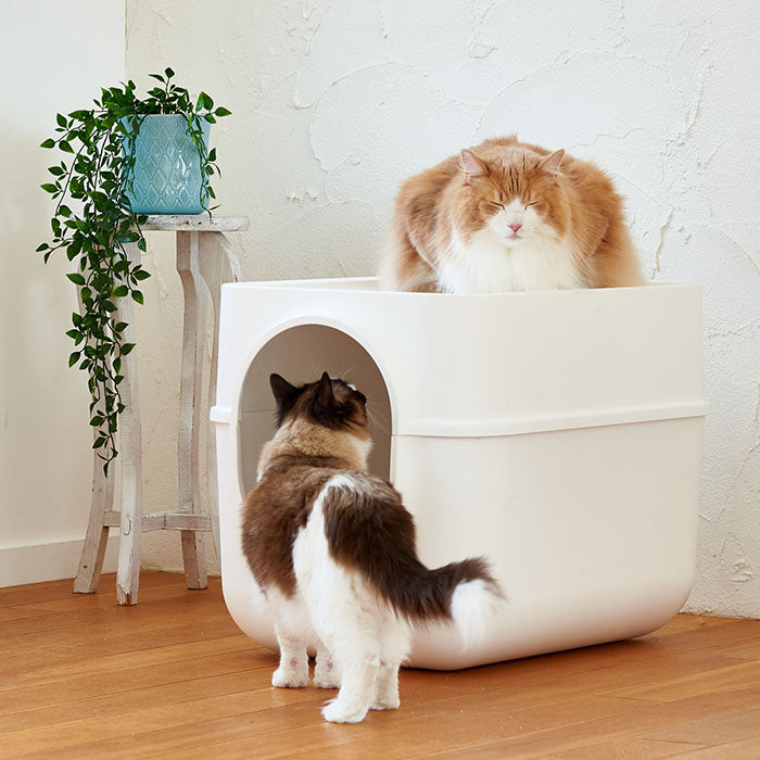 クリスマス 猫 トイレ システム スライド式 大型 おしゃれ メガトレー