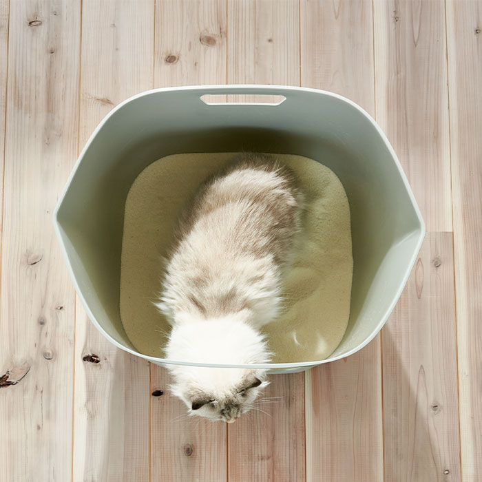 砂の入れ替えや掃除が楽にできる猫トイレ / フレキシブルリッター