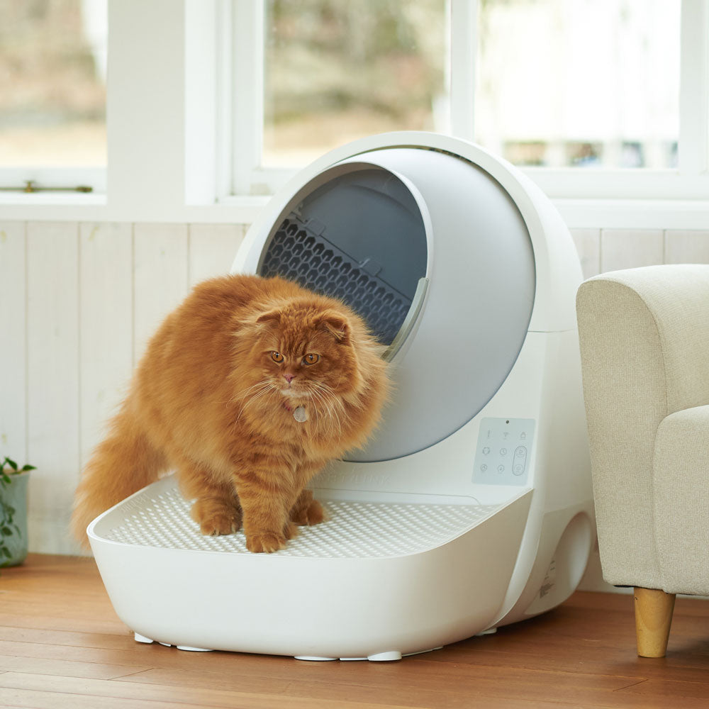 好評につき延長！猫砂プレゼント中】自動ネコトイレ CATLINK SCOOPER