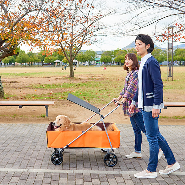 大型犬用 OFT介護カート / シニア犬や病気で動きにくいワンちゃんのお